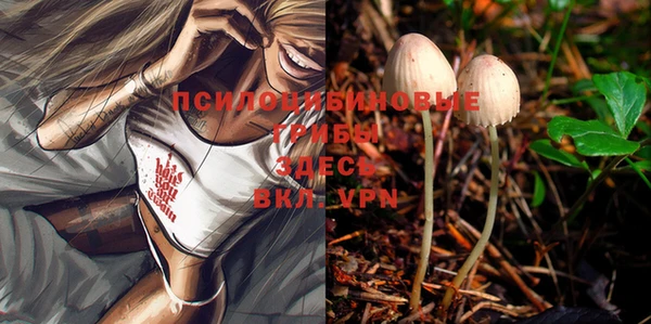 MDMA Premium VHQ Нефтегорск