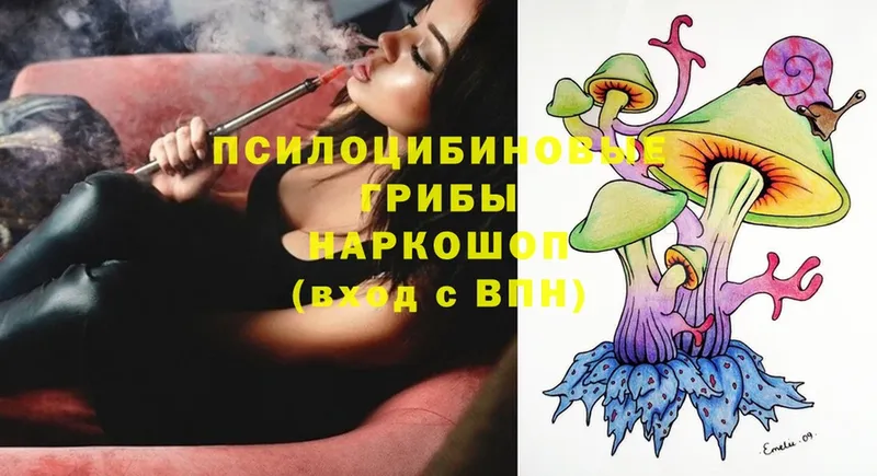 купить наркотики цена  Нефтекумск  Псилоцибиновые грибы Magic Shrooms 