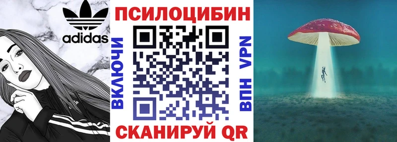 hydra   хочу   Нефтекумск  Галлюциногенные грибы Magic Shrooms 