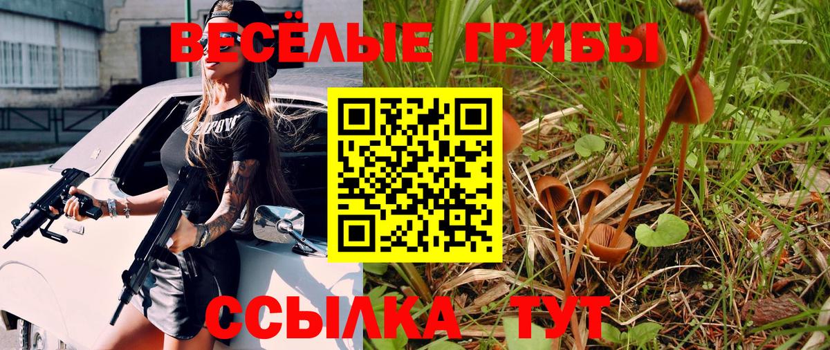 Галлюциногенные грибы Psilocybine cubensis  Нефтекумск 