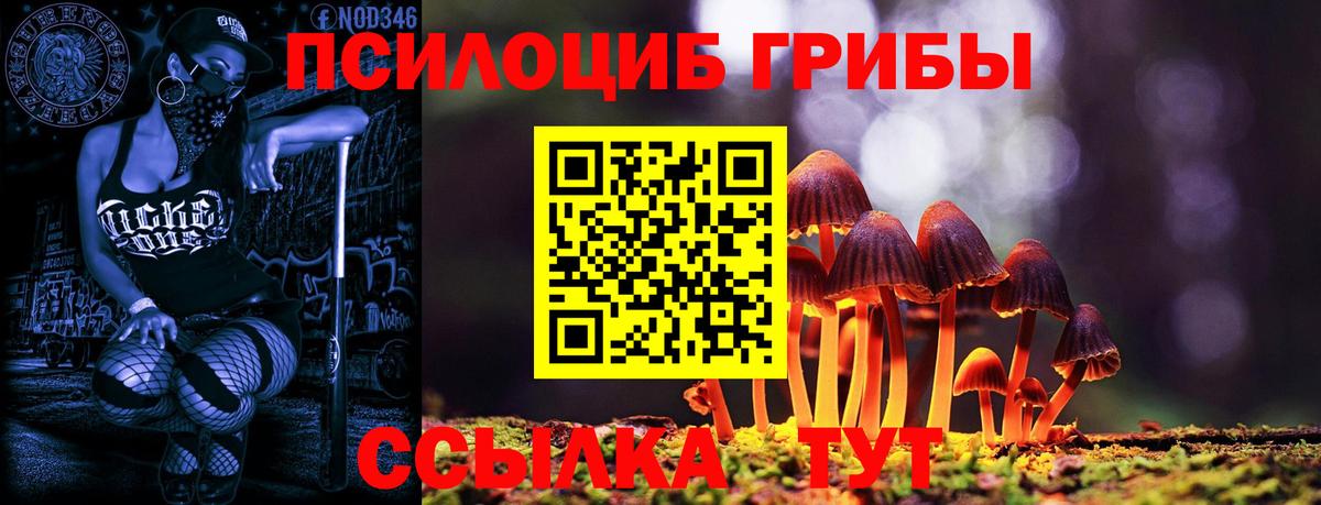 Псилоцибиновые грибы GOLDEN TEACHER Нефтекумск